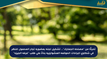تحركًا من “مصلحة الجمارك”.. تشكيل لجنة بعضوية تجار المحمول للنظر في شكاوى إجراءات الحوكمة العشوائية بناءً على طلب “غرفة الجيزة”